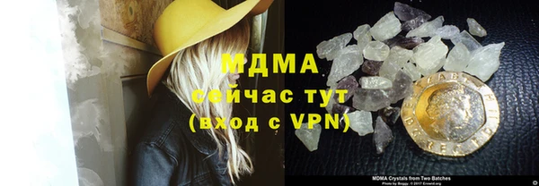 ПСИЛОЦИБИНОВЫЕ ГРИБЫ Дмитриев