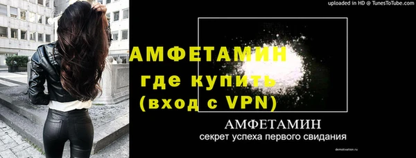 ПСИЛОЦИБИНОВЫЕ ГРИБЫ Дмитриев