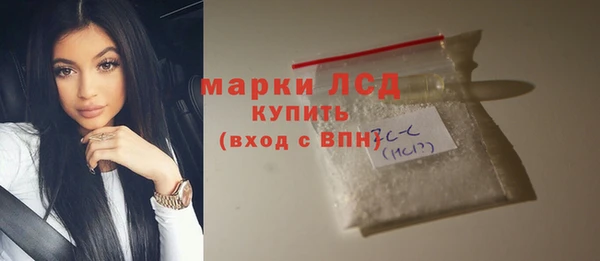 ПСИЛОЦИБИНОВЫЕ ГРИБЫ Дмитриев