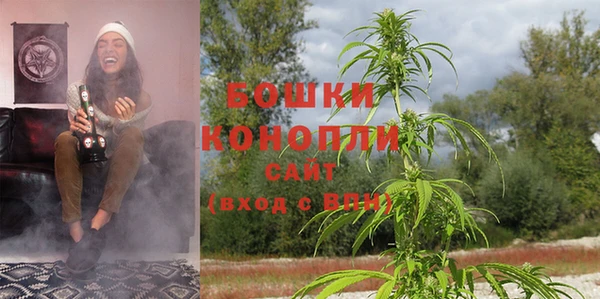 тгк Новокубанск