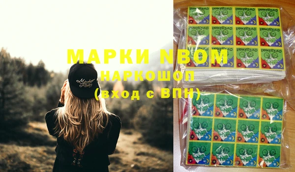 ПСИЛОЦИБИНОВЫЕ ГРИБЫ Дмитриев