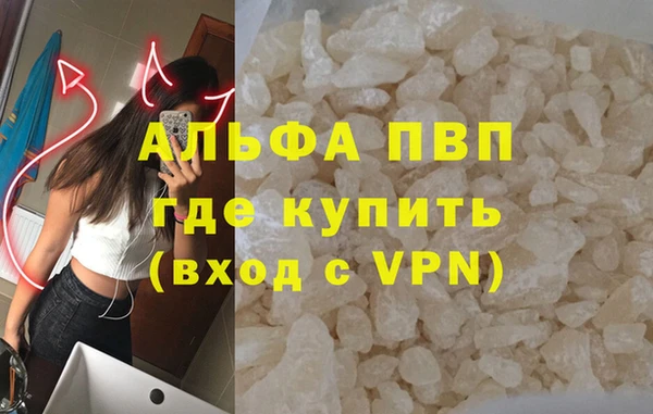 ПСИЛОЦИБИНОВЫЕ ГРИБЫ Дмитриев