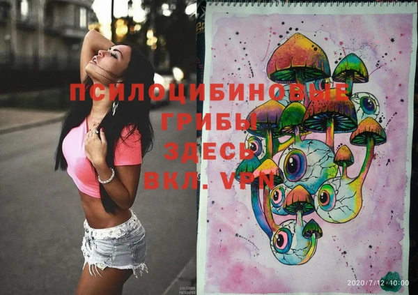 ПСИЛОЦИБИНОВЫЕ ГРИБЫ Дмитриев