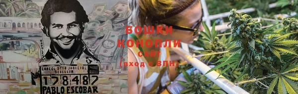 ПСИЛОЦИБИНОВЫЕ ГРИБЫ Дмитриев