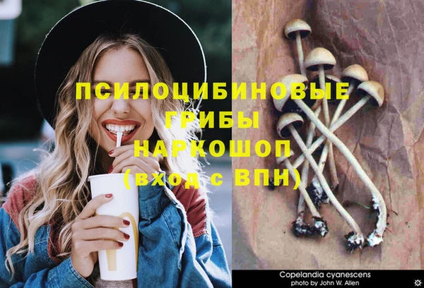 тгк Новокубанск